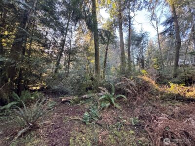 12719 & 12723 96th Street Ct , Anderson Island, WA 98303 - Photo 14
