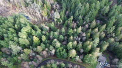 12719 & 12723 96th Street Ct , Anderson Island, WA 98303 - Photo 2