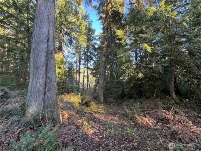 12719 & 12723 96th Street Ct , Anderson Island, WA 98303 - Photo 3
