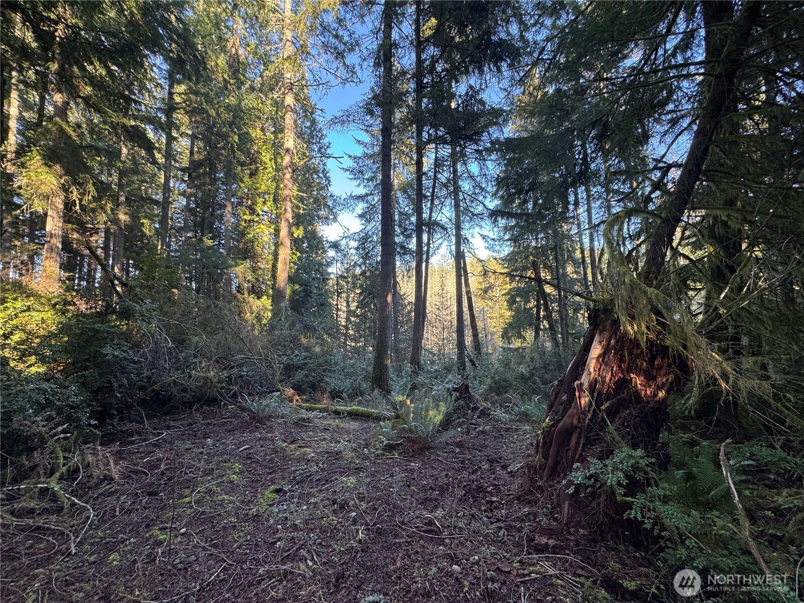 12719 & 12723 96th Street Ct , Anderson Island, WA 98303