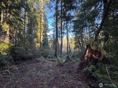 12719 & 12723 96th Street Ct , Anderson Island, WA 98303 - Photo 4