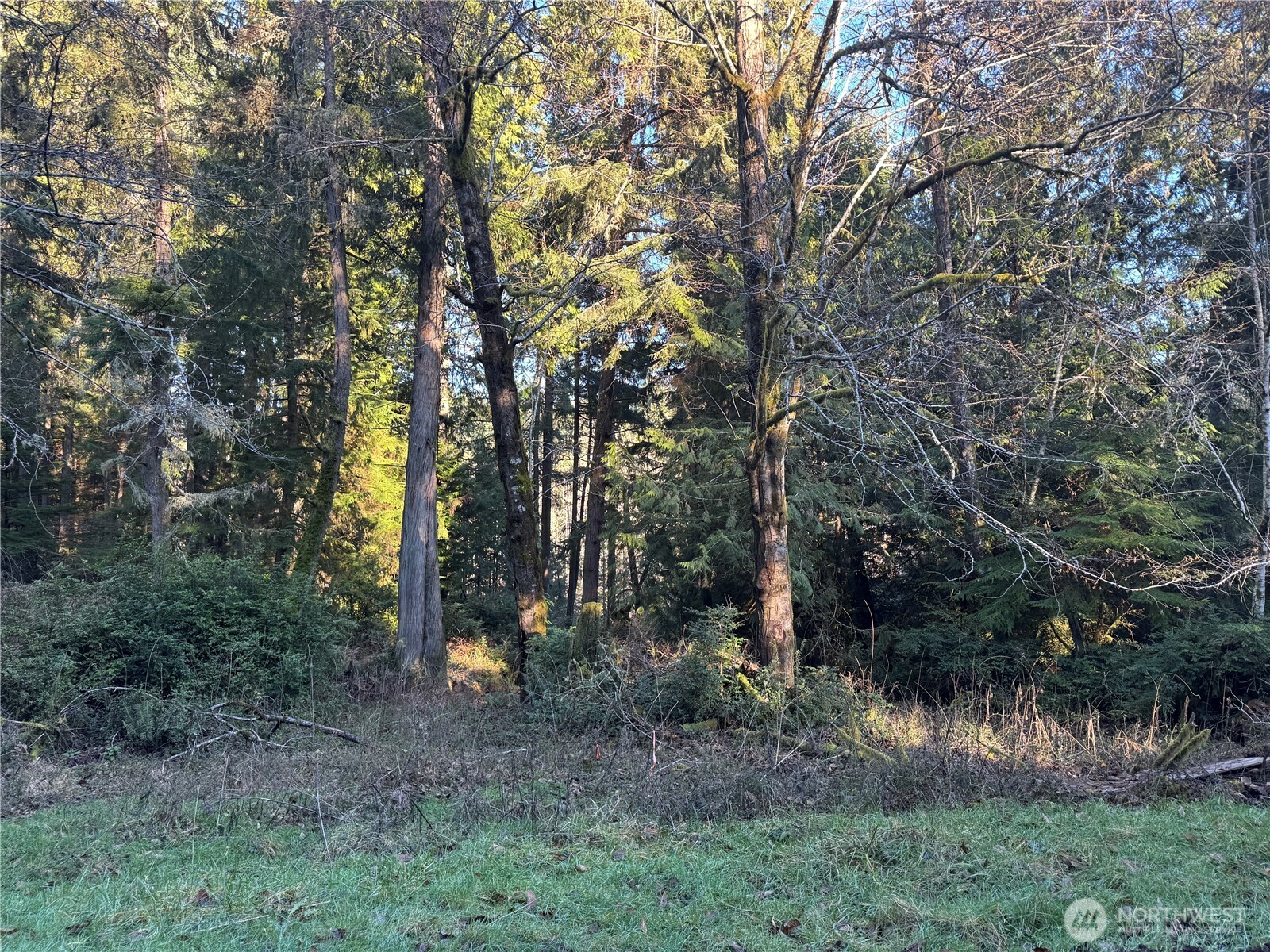 12719 & 12723 96th Street Ct , Anderson Island, WA 98303