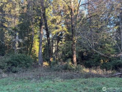12719 & 12723 96th Street Ct , Anderson Island, WA 98303 - Photo 5