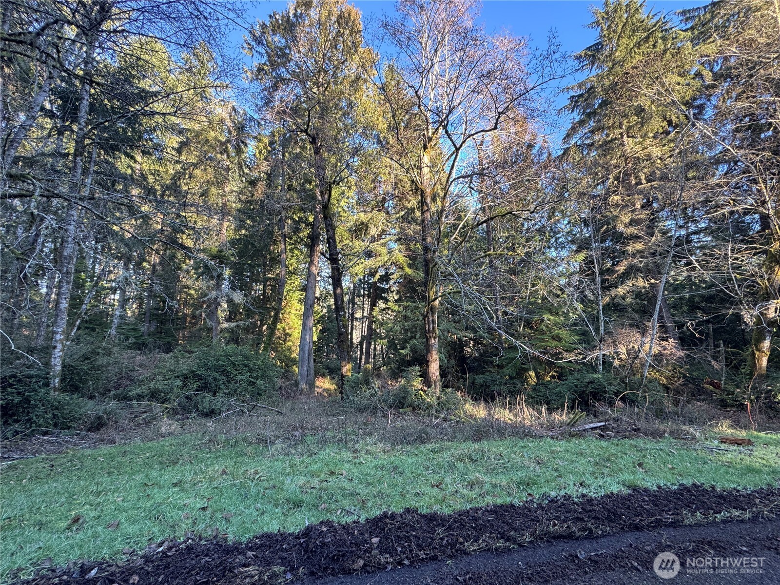 12719 & 12723 96th Street Ct , Anderson Island, WA 98303