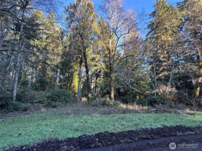 12719 & 12723 96th Street Ct , Anderson Island, WA 98303 - Photo 6