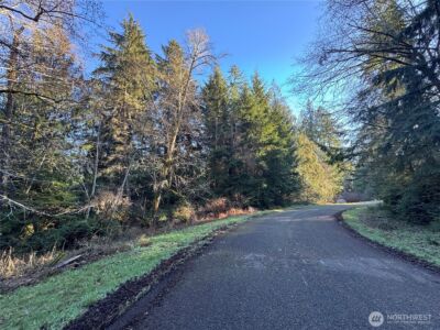 12719 & 12723 96th Street Ct , Anderson Island, WA 98303 - Photo 7