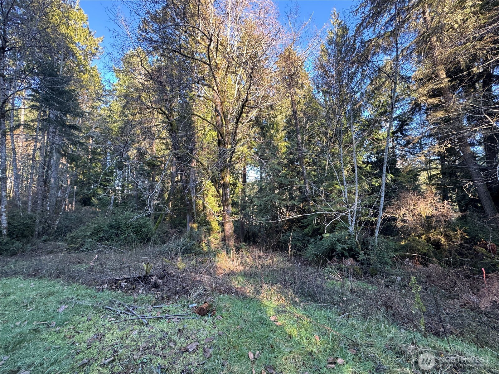 12719 & 12723 96th Street Ct , Anderson Island, WA 98303
