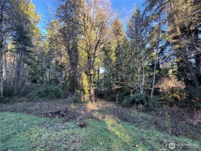 12719 & 12723 96th Street Ct , Anderson Island, WA 98303 - Photo 9