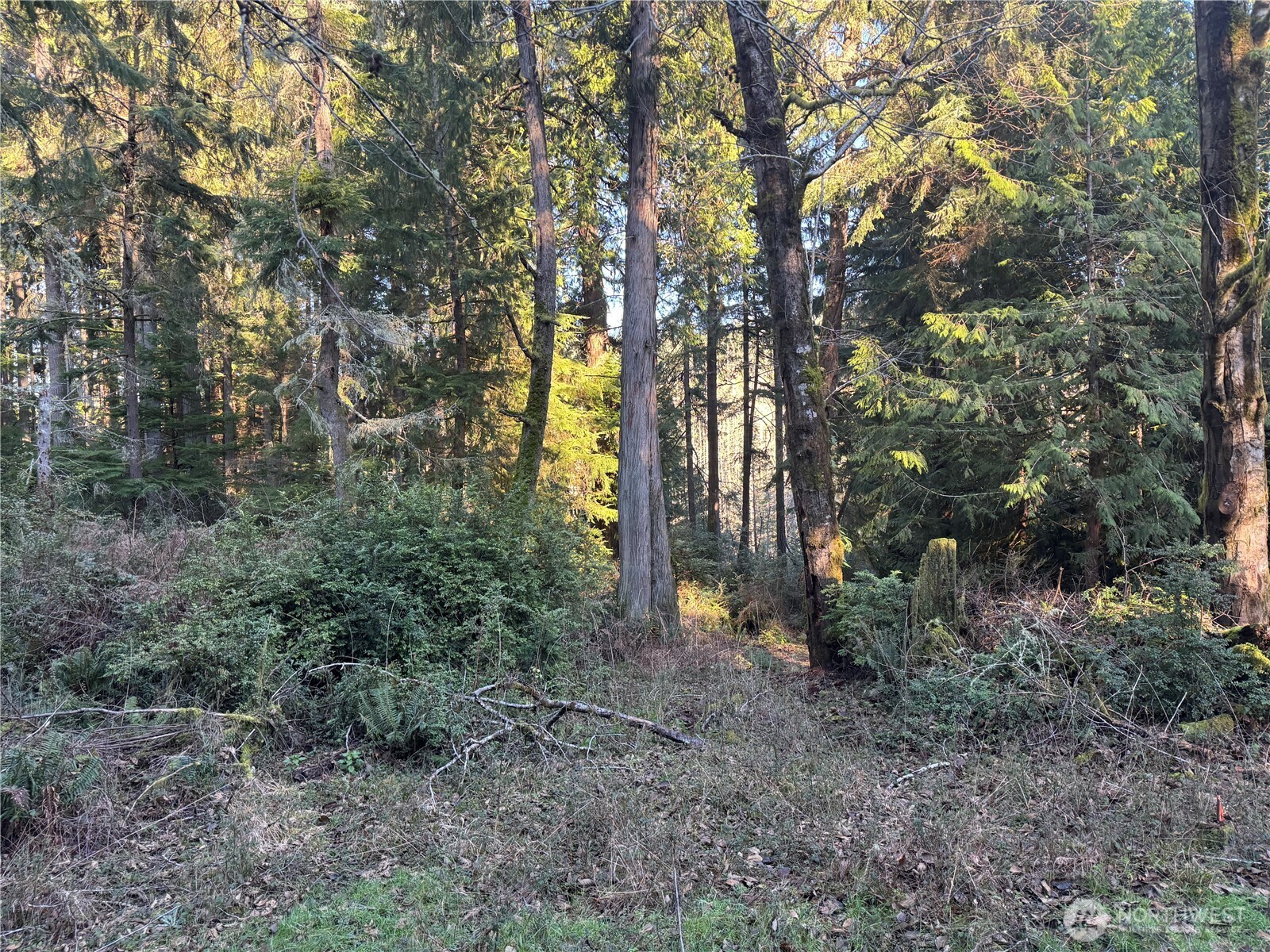 12719 & 12723 96th Street Ct , Anderson Island, WA 98303