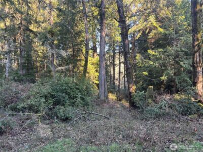 12719 & 12723 96th Street Ct , Anderson Island, WA 98303 - Photo 10