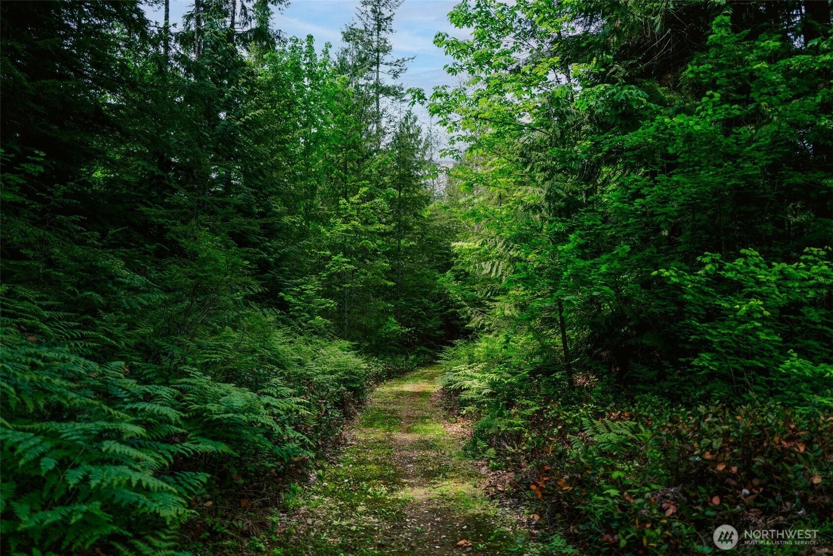61551 Cascade River Rd , Marblemount, WA 98267