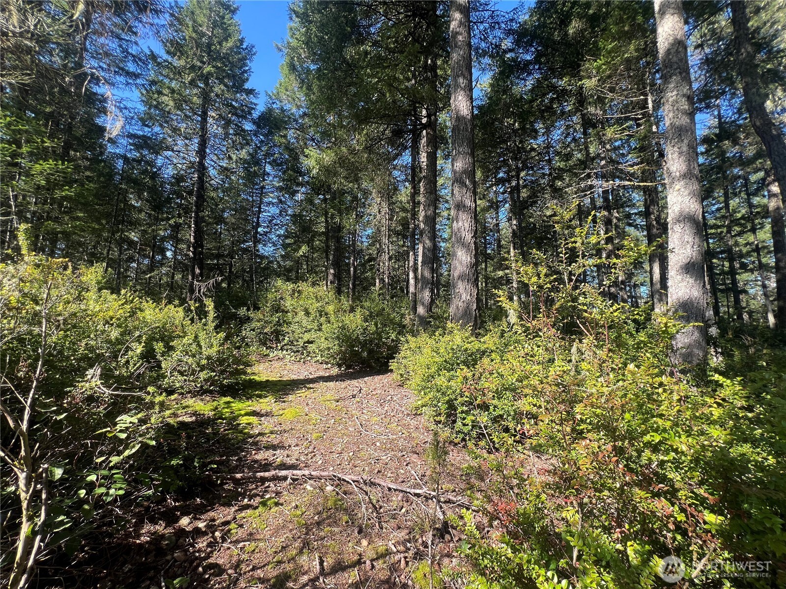 380 E Laurel Park , Union, WA 98592