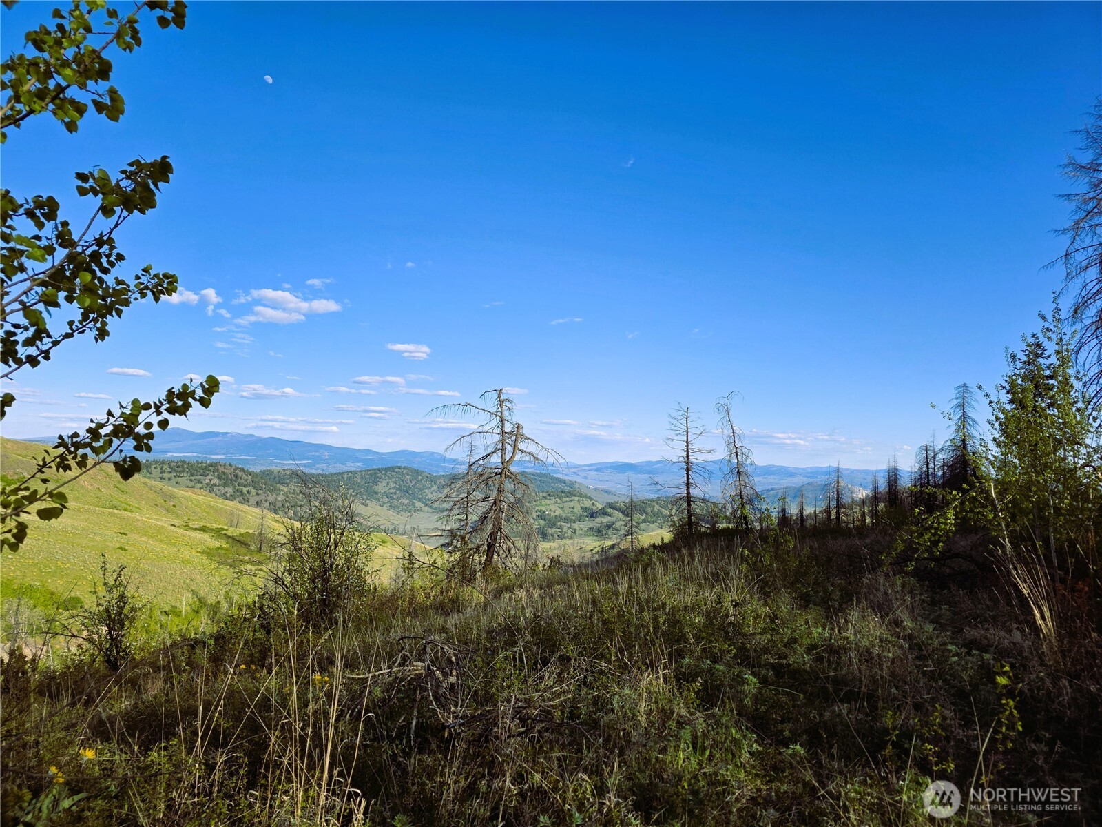 1111 Bottom Road , Tonasket, WA 98855
