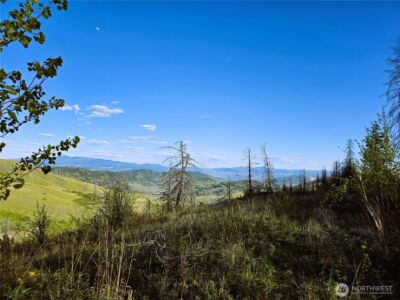 1111 Bottom Road , Tonasket, WA 98855