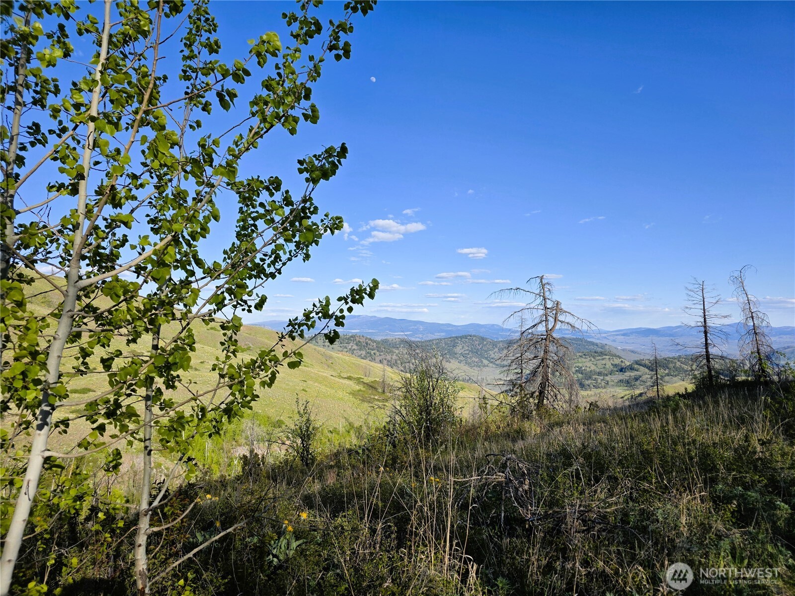 1111 Bottom Road , Tonasket, WA 98855