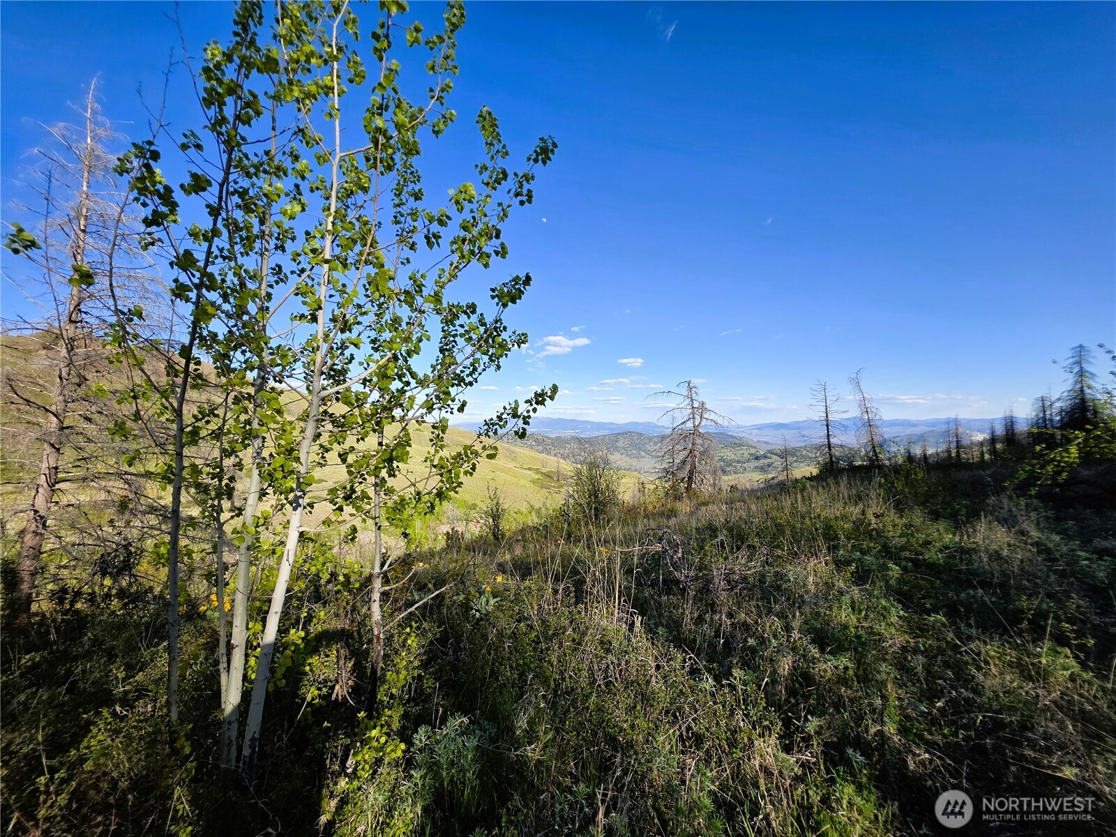 1111 Bottom Road , Tonasket, WA 98855