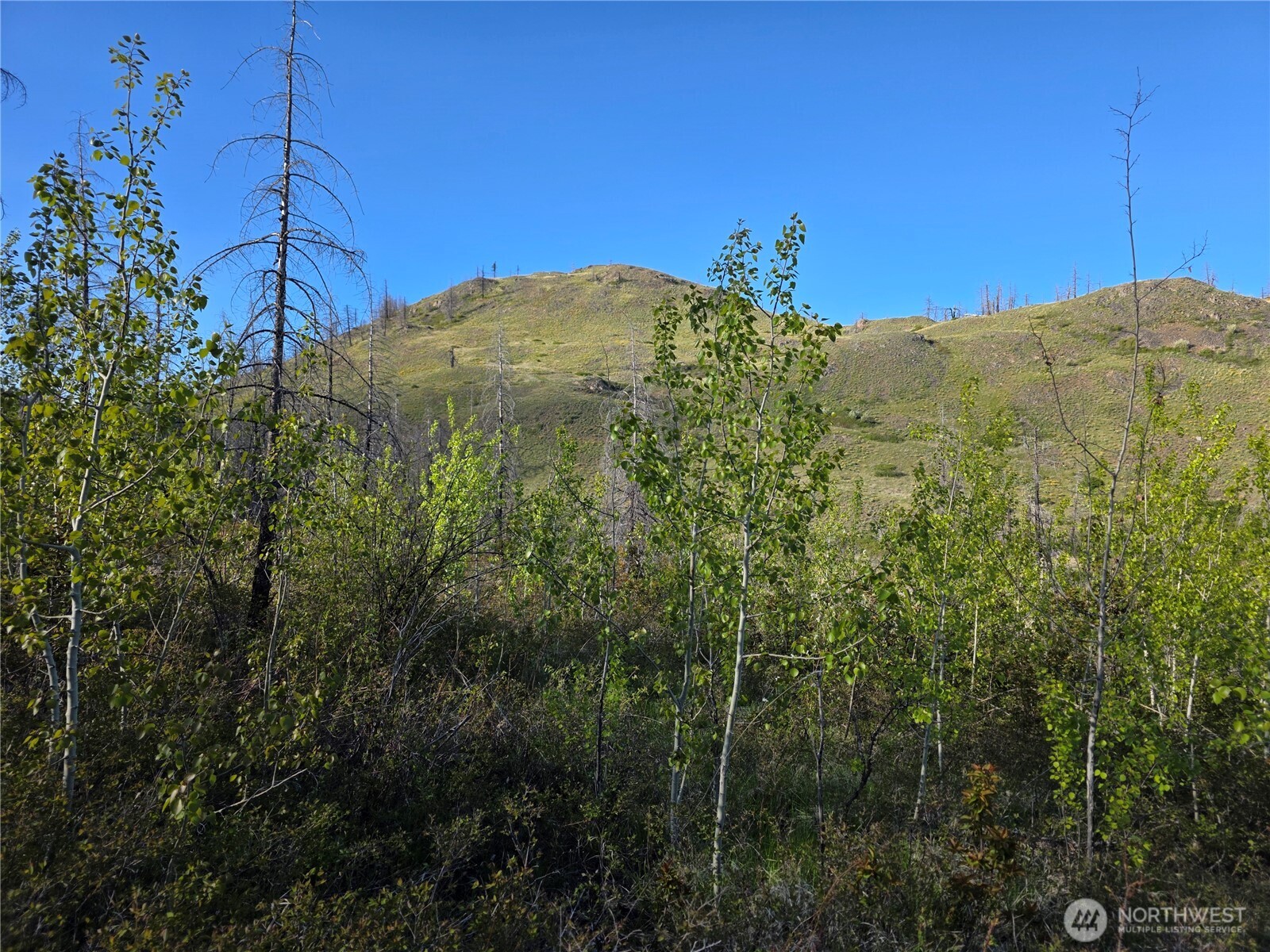 1111 Bottom Road , Tonasket, WA 98855