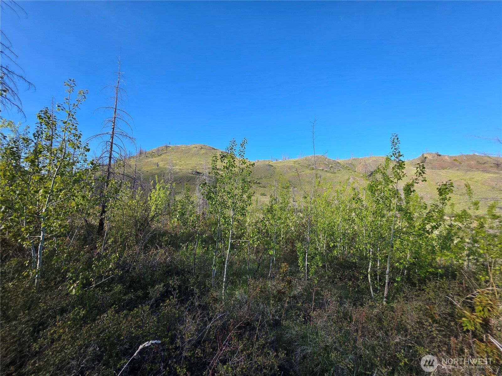 1111 Bottom Road , Tonasket, WA 98855