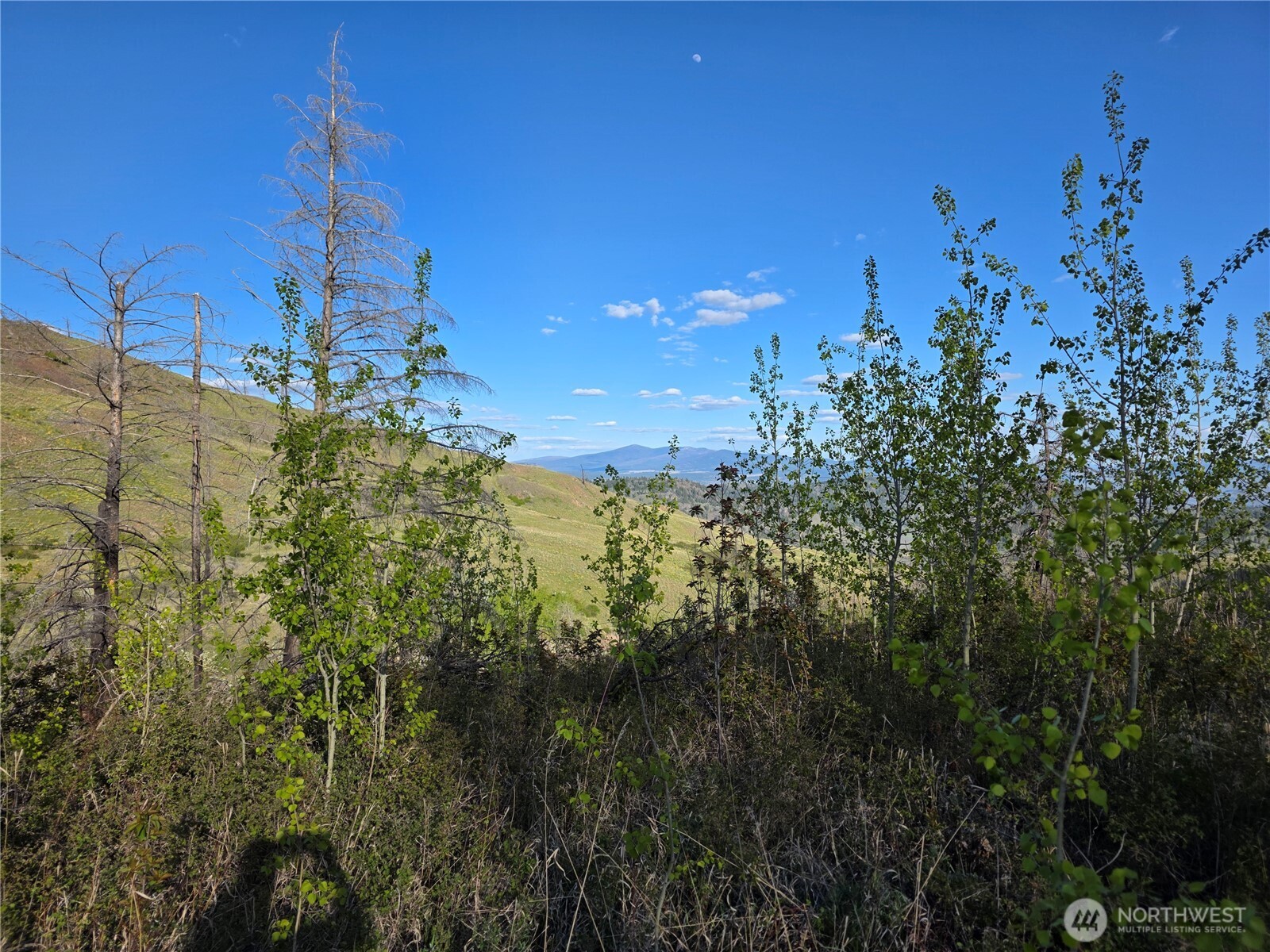 1111 Bottom Road , Tonasket, WA 98855