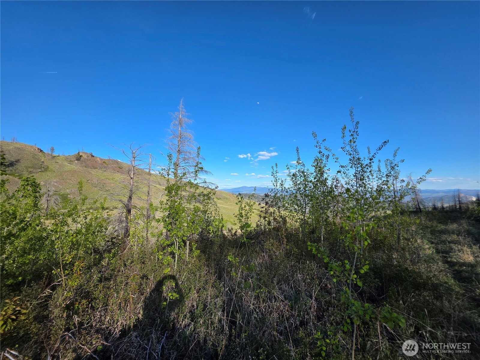 1111 Bottom Road , Tonasket, WA 98855