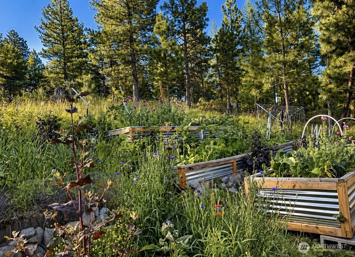 20 Morgan Mountain Trail , Tonasket, WA 98855