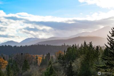 714 Hunt Road , Port Angeles, WA 98363 - Photo 11