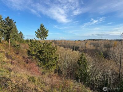 714 Hunt Road , Port Angeles, WA 98363 - Photo 12