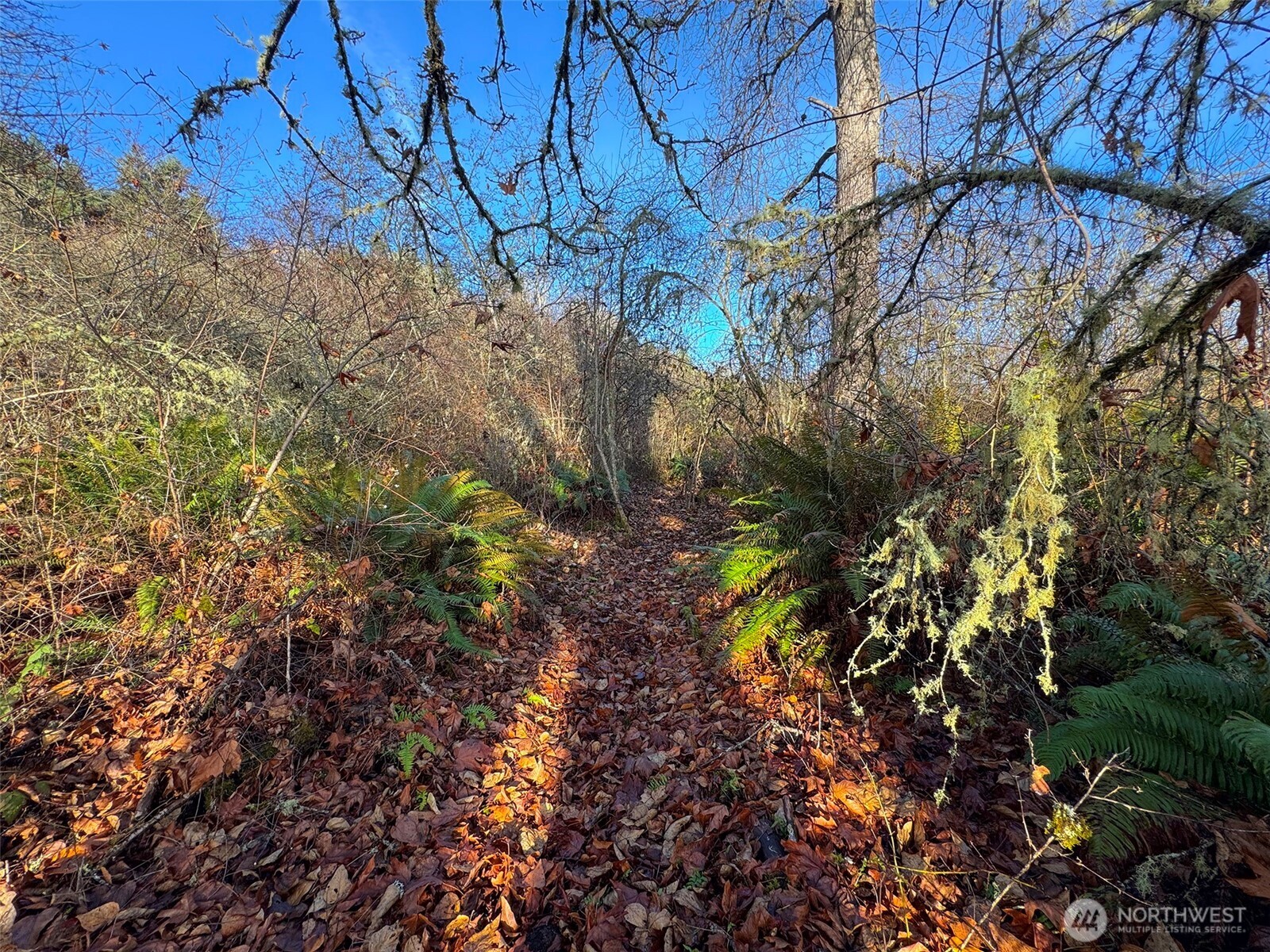 714 Hunt Road , Port Angeles, WA 98363