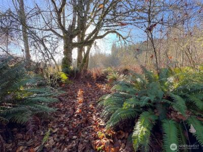 714 Hunt Road , Port Angeles, WA 98363 - Photo 31