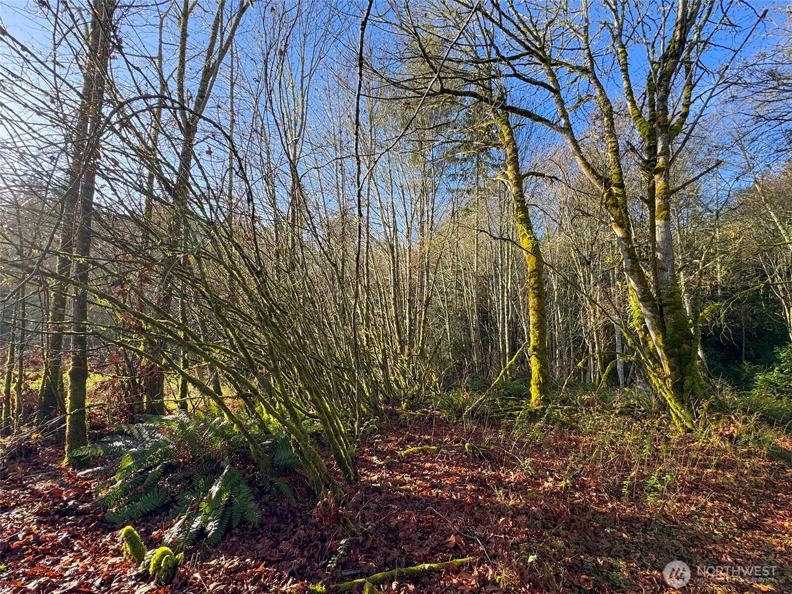 714 Hunt Road , Port Angeles, WA 98363