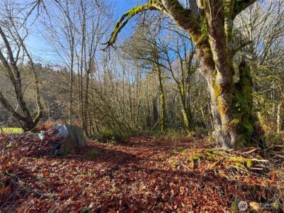 714 Hunt Road , Port Angeles, WA 98363 - Photo 33