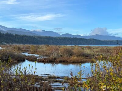 714 Hunt Road , Port Angeles, WA 98363 - Photo 35