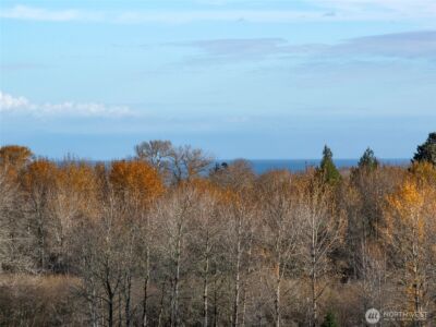 714 Hunt Road , Port Angeles, WA 98363 - Photo 9
