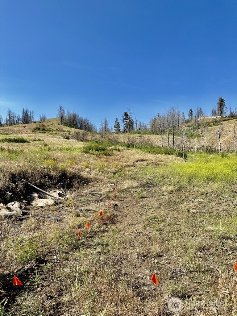 0 Eighme Road , Oroville, WA 98844