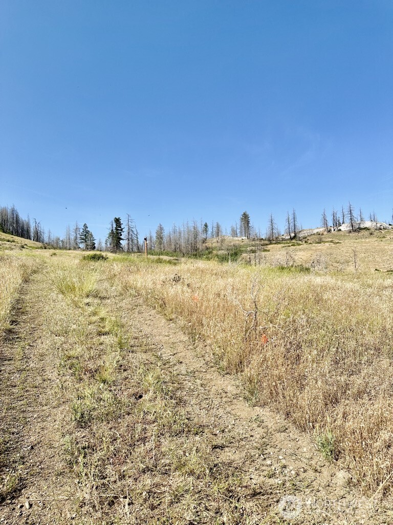 0 Eighme Road , Oroville, WA 98844