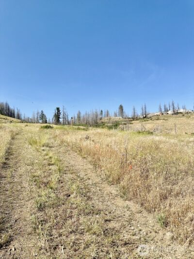 0 Eighme Road , Oroville, WA 98844 - Photo 4