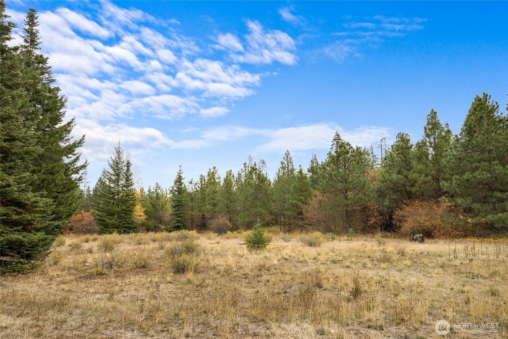 50 Morning Star Lane , Cle Elum, WA 98922