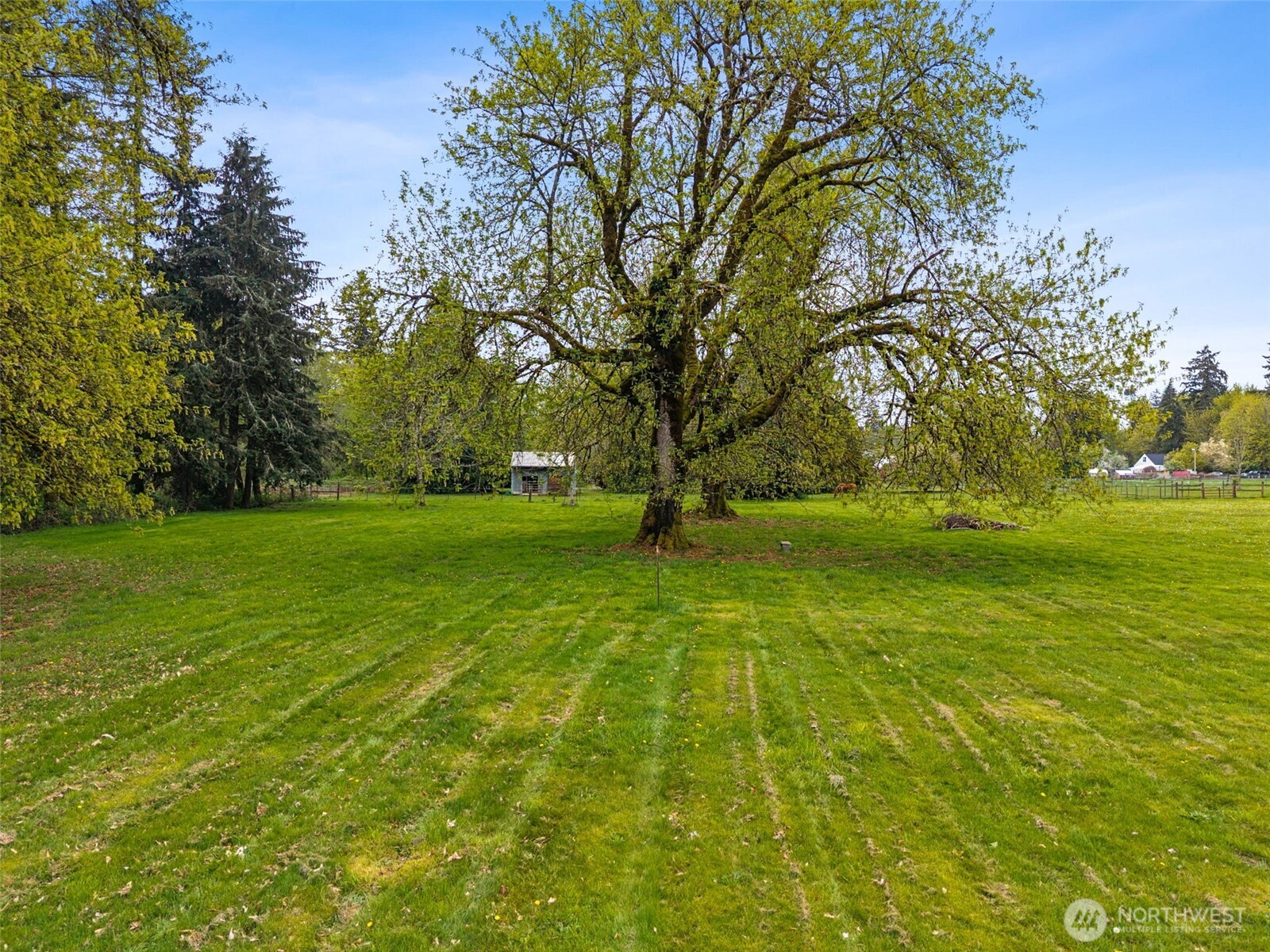 3921 89th Avenue SE, Olympia, WA 98501