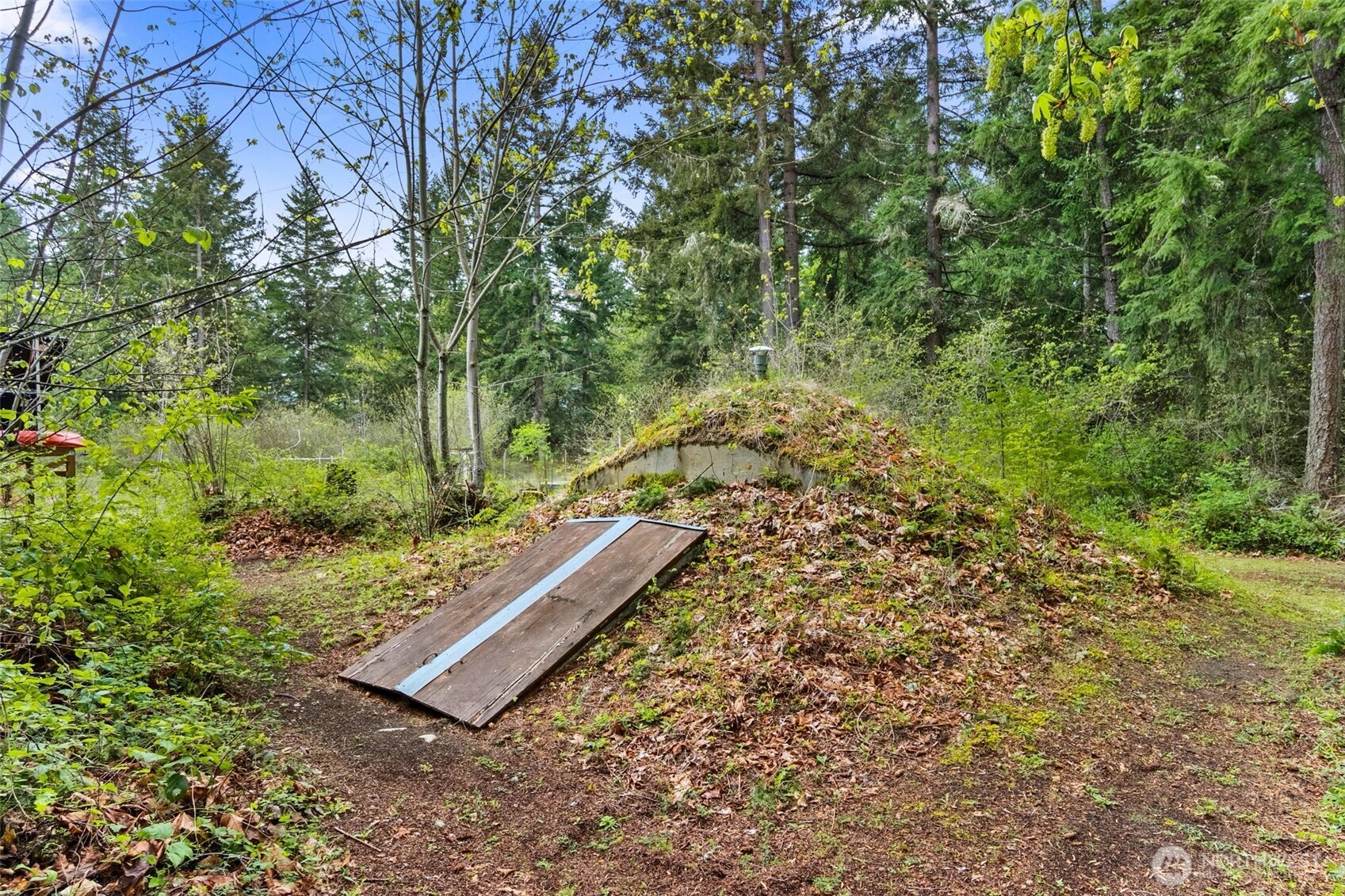 22110 Elbow Lake Road SE #B, Yelm, WA 98597