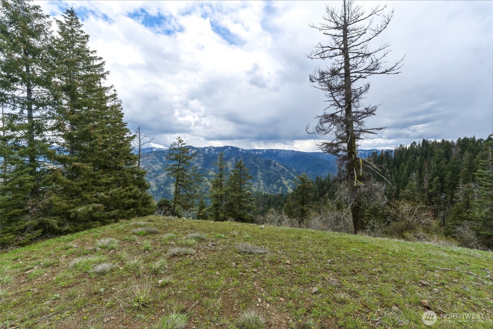 14111 Biscuit Ridge Road , Walla Walla, WA 99361