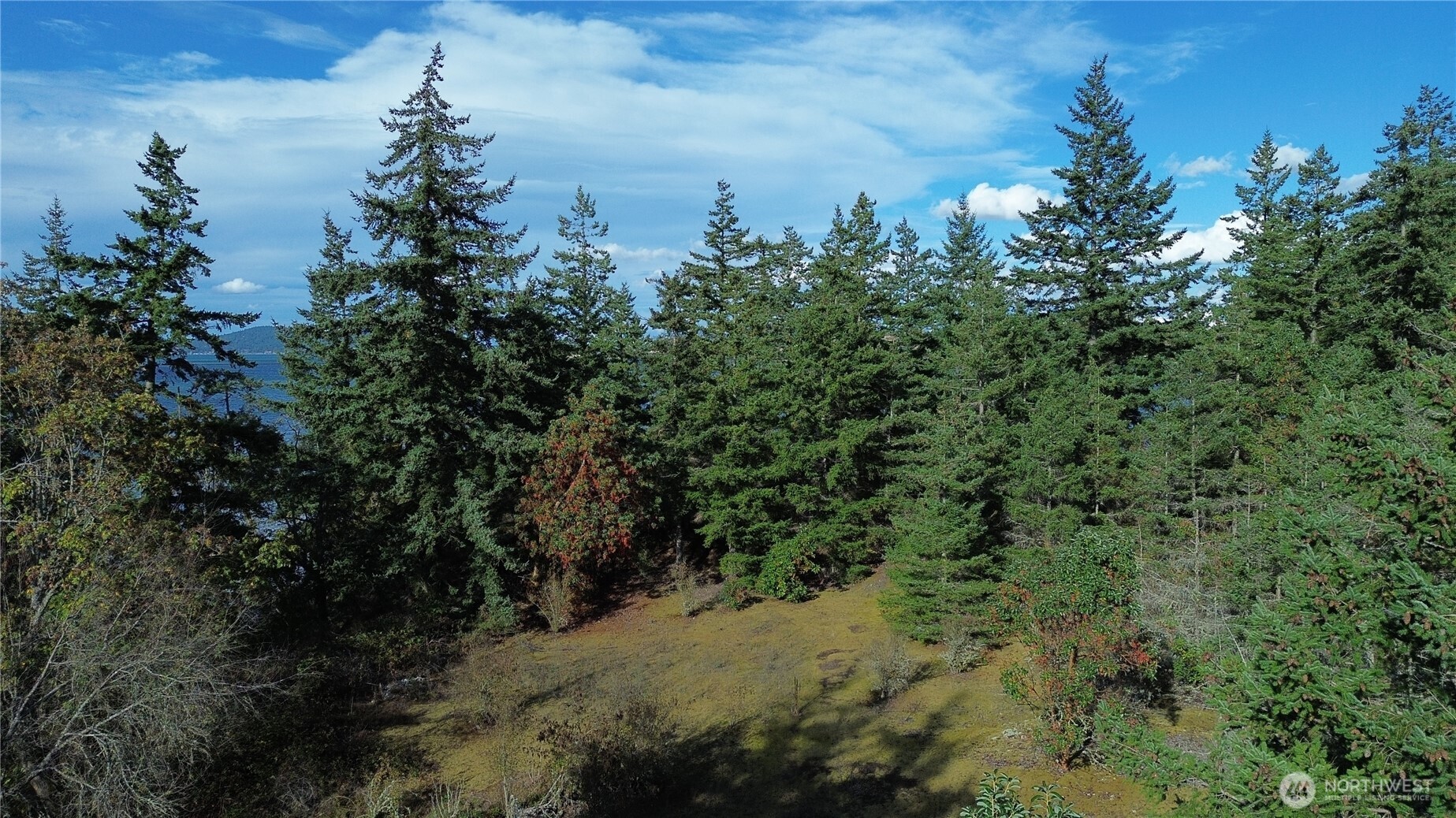 7701 NHN State Route 20 , Anacortes, WA 98221
