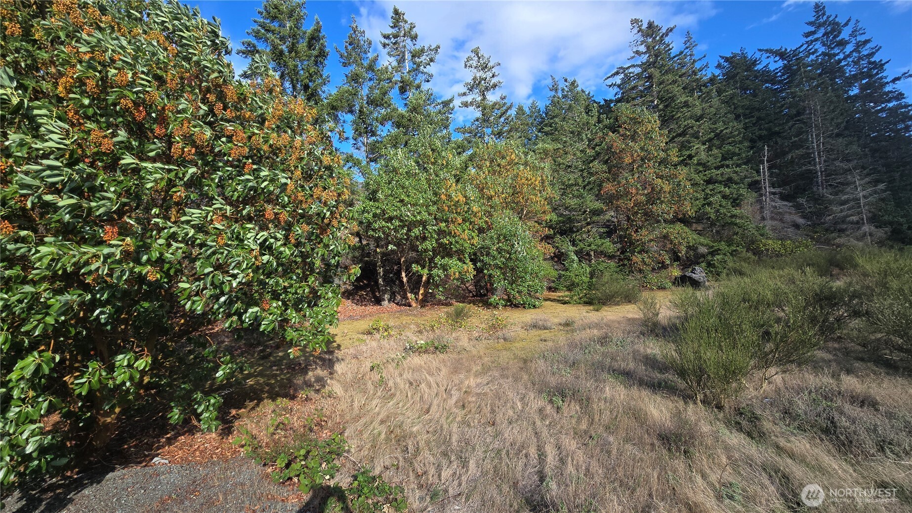 7701 NHN State Route 20 , Anacortes, WA 98221