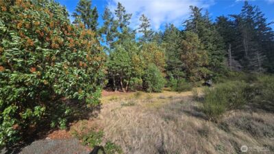7701 NHN State Route 20 , Anacortes, WA 98221 - Photo 16