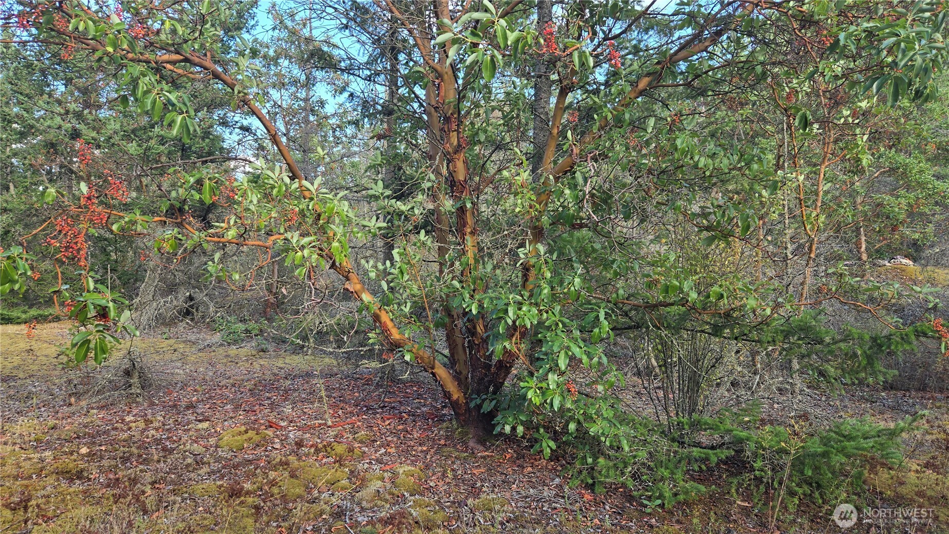7701 NHN State Route 20 , Anacortes, WA 98221