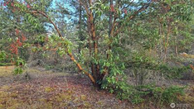 7701 NHN State Route 20 , Anacortes, WA 98221 - Photo 19
