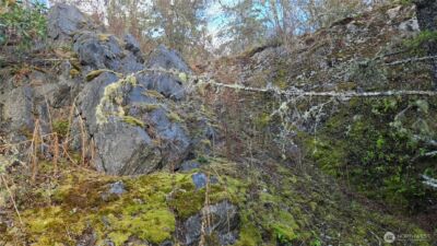 7701 NHN State Route 20 , Anacortes, WA 98221 - Photo 23
