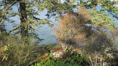 7701 NHN State Route 20 , Anacortes, WA 98221 - Photo 27