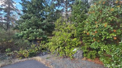 7701 NHN State Route 20 , Anacortes, WA 98221 - Photo 3