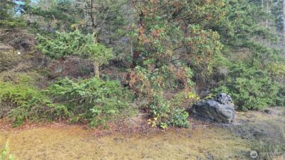 7701 NHN State Route 20 , Anacortes, WA 98221 - Photo 4