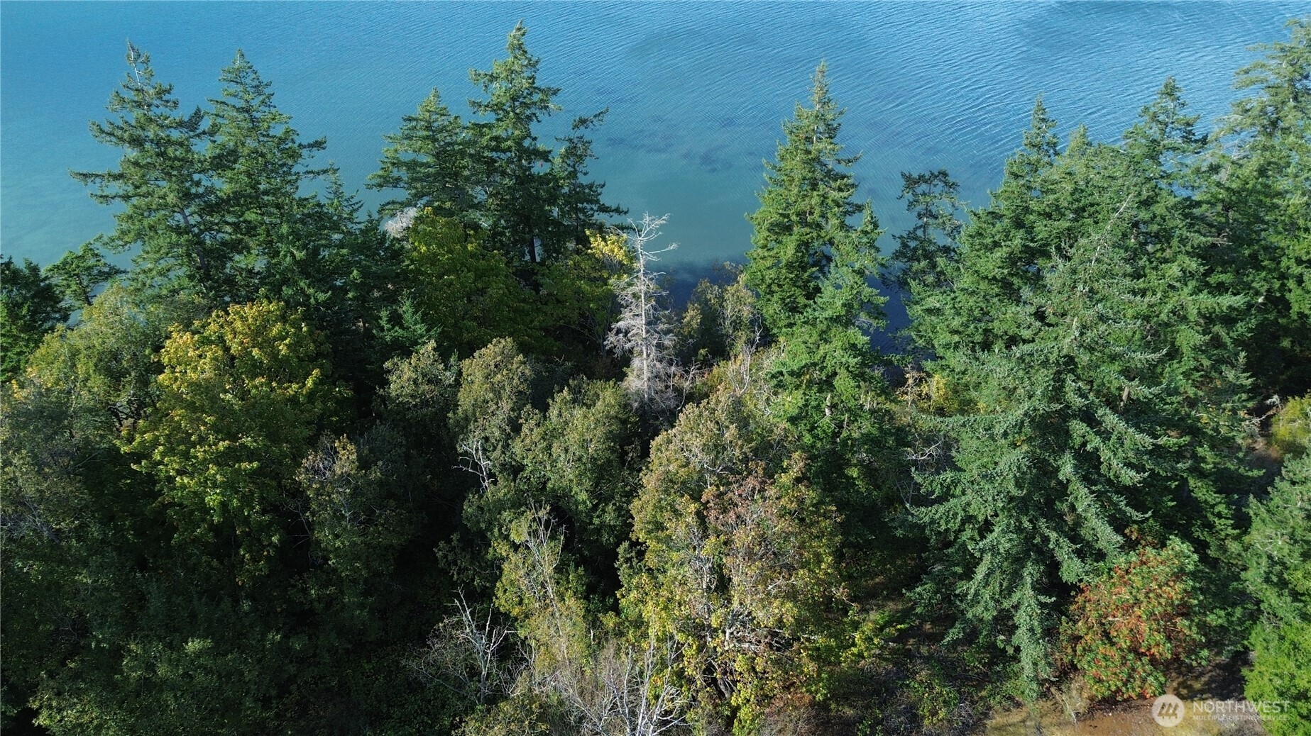 7701 NHN State Route 20 , Anacortes, WA 98221